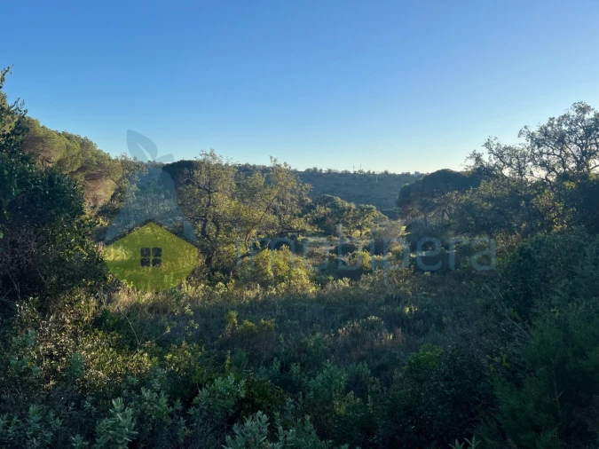 Terreno Agricola ou Rústico para Venda em Paderne Foto 24