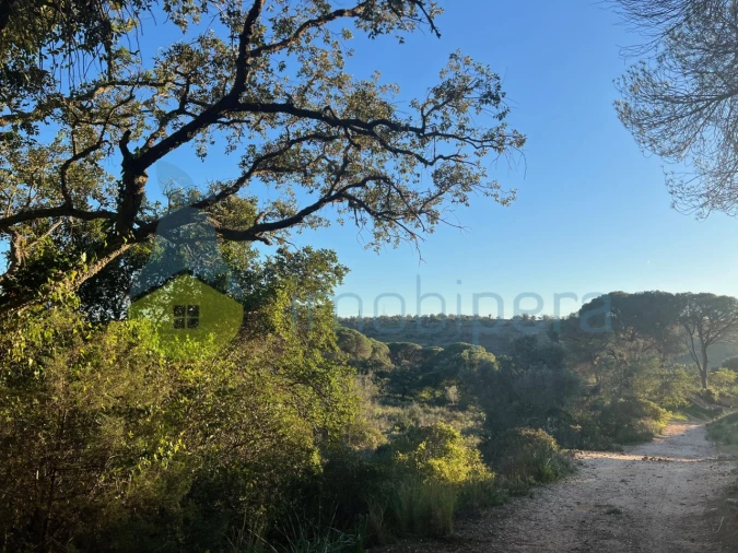 Terreno Agricola ou Rústico para Venda em Paderne Foto 30