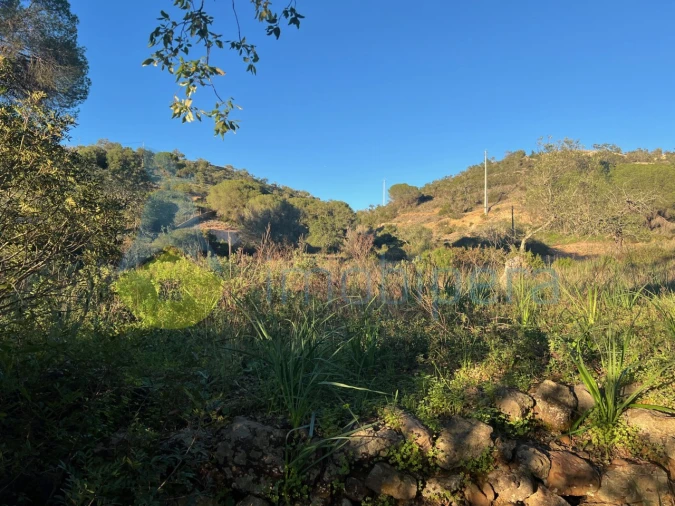 Terreno Agricola ou Rústico para Venda em Paderne Foto 32