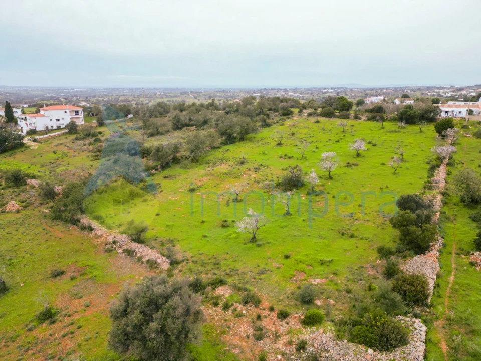 Terreno Agricola ou Rústico para Venda em Albufeira e Olhos de Água Foto 2
