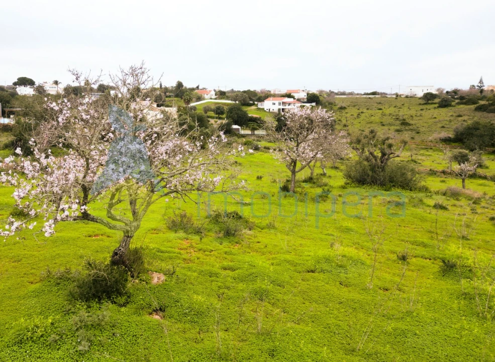 Terreno Agricola ou Rústico para Venda em Albufeira e Olhos de Água Foto 4