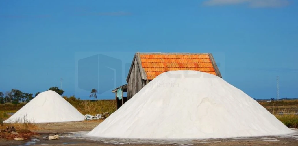 Apartamento T4 para Venda em Glória e Vera Cruz Foto 7