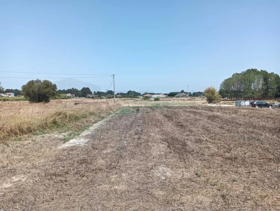 Terreno para Venda em Ponte de Vagos e Santa Catarina Foto 8