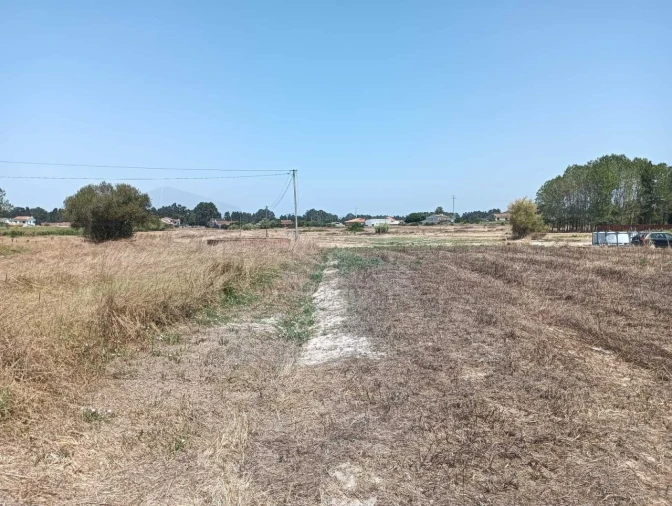 Terreno para Venda em Ponte de Vagos e Santa Catarina