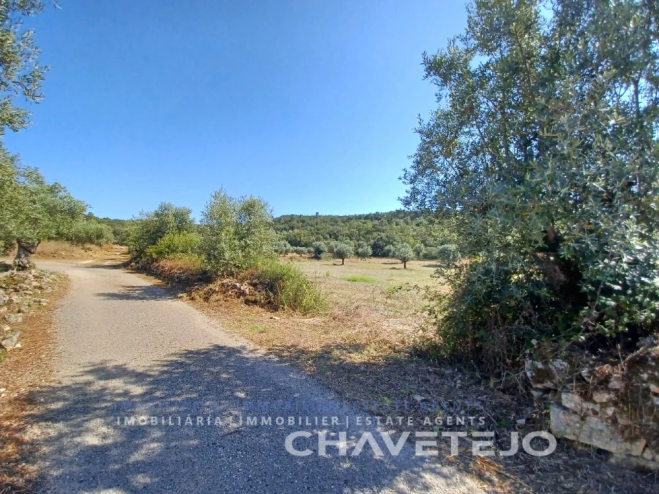 Moradia T2 para Venda em Chãos Foto 8