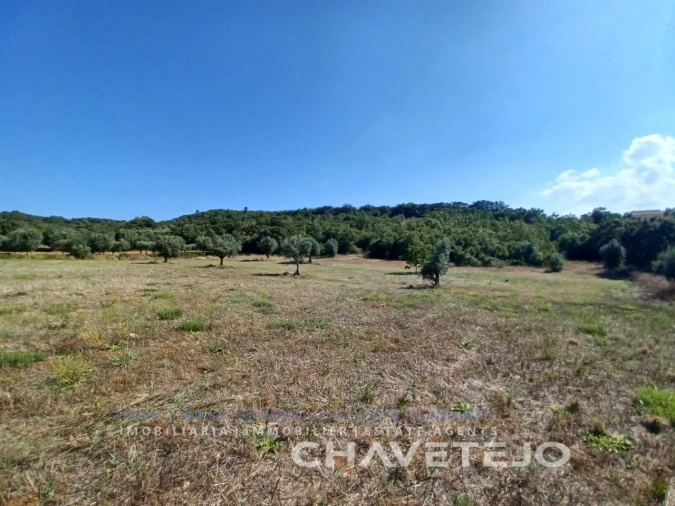 Moradia T2 para Venda em Chãos Foto 10