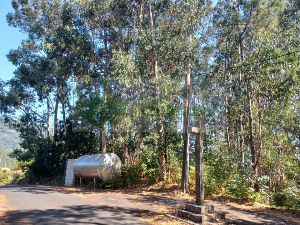 Terreno para Venda em Rocas do Vouga Foto 6