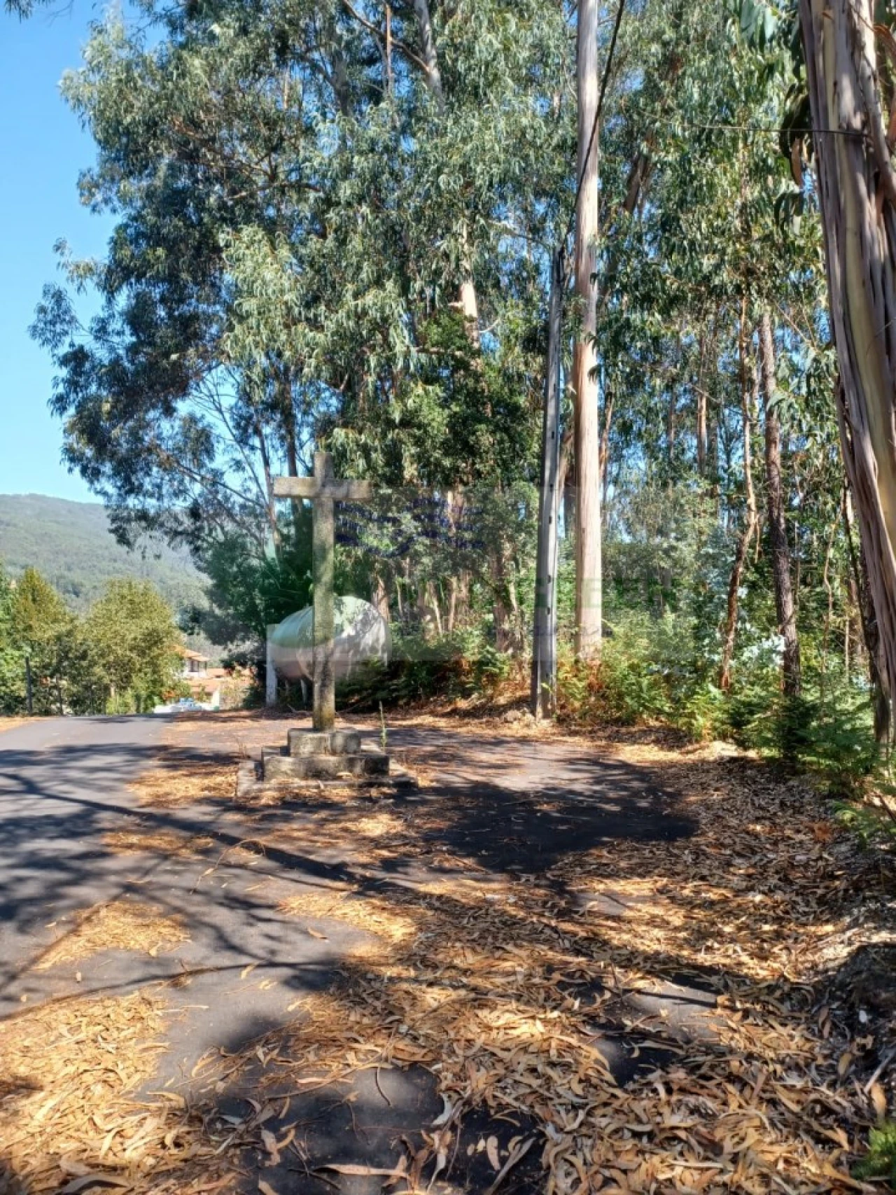 Terreno para Venda em Rocas do Vouga Foto 9