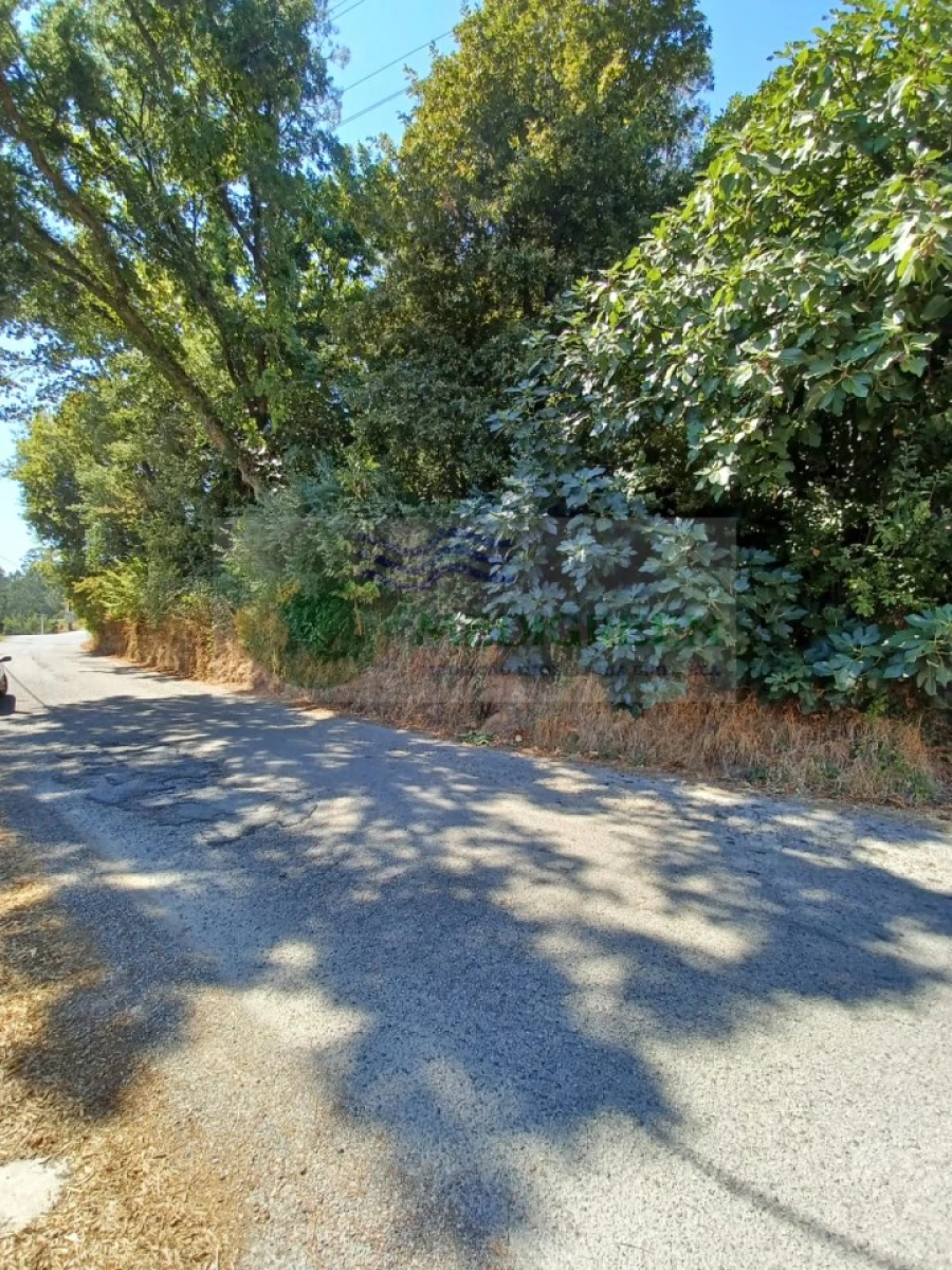 Terreno para Venda em Rocas do Vouga Foto 8