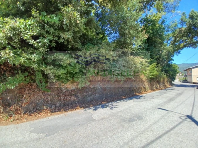 Terreno para Venda em Rocas do Vouga Foto 2
