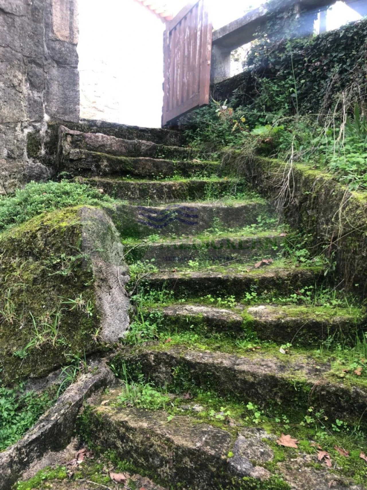 Moradia T2 para Venda em Couto de Esteves Foto 13