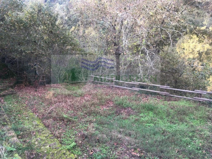 Moradia T2 para Venda em Couto de Esteves Foto 11