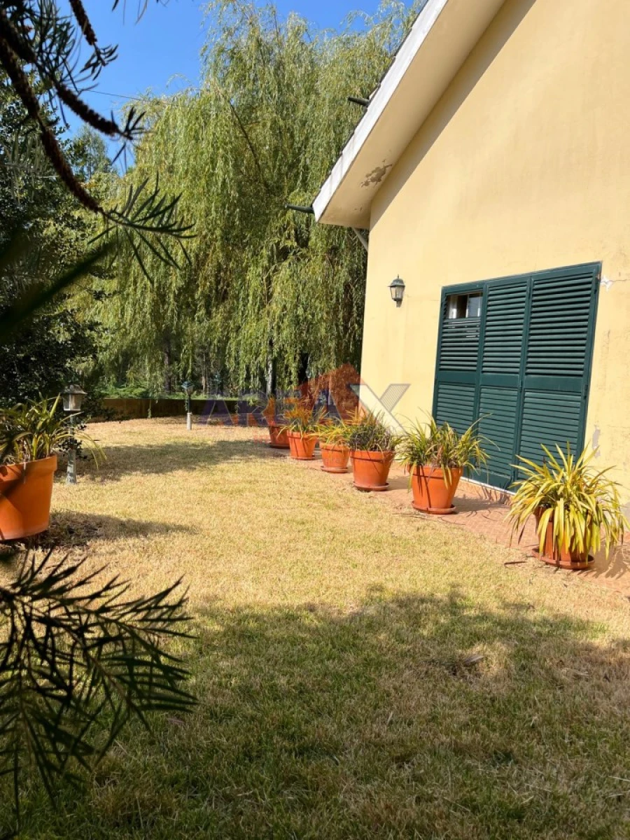 Moradia T4 para Venda em Macieira de Sarnes Foto 39