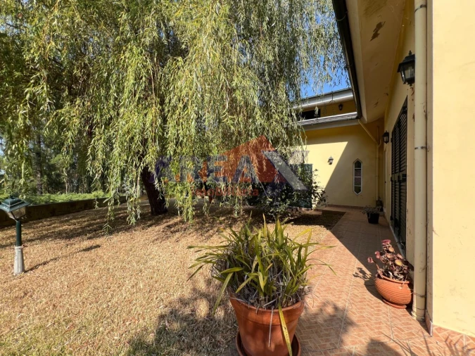 Moradia T4 para Venda em Macieira de Sarnes Foto 40