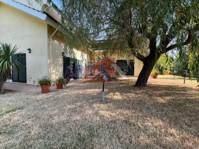 Moradia T4 para Venda em Macieira de Sarnes Foto 46