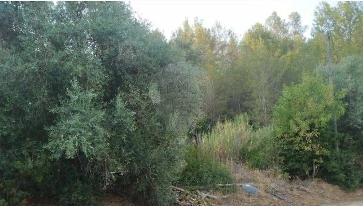 Terreno para Venda em Vale de Santarem Foto 6