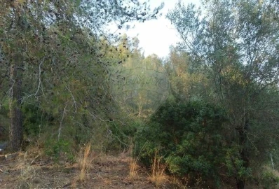 Terreno para Venda em Vale de Santarem