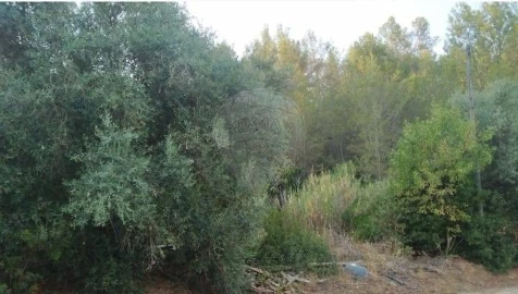 Terreno para Venda em Vale de Santarem