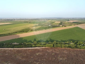 Terreno para Venda em Vale de Santarem