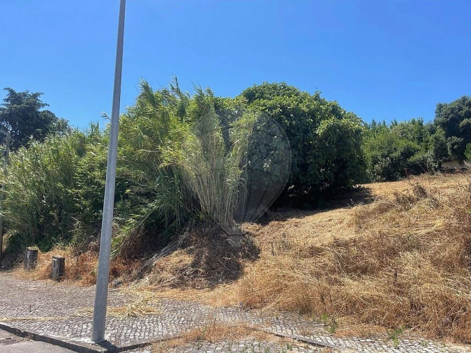 Moradia T4 para Venda em Aldeia Galega da Merceana e Aldeia Gavinha Foto 20