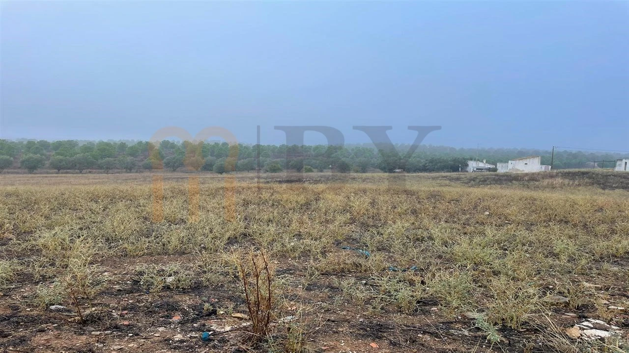Terreno Misto para Venda em Mertola Foto 5