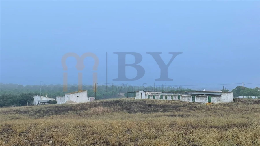 Terreno Misto para Venda em Mertola Foto 6