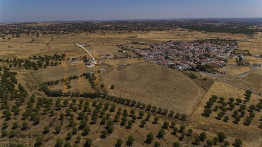 Terreno Misto para Venda em Mertola Foto 13