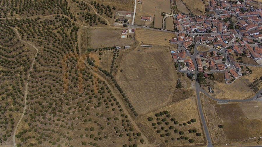 Terreno Misto para Venda em Mertola Foto 15