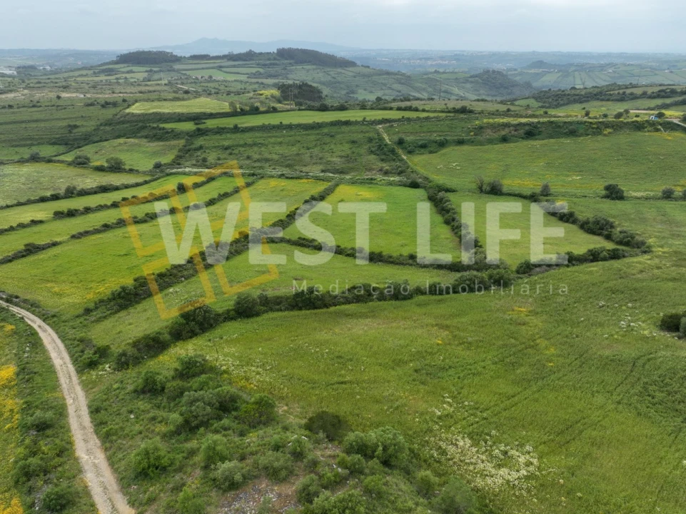 Terreno Agricola ou Rústico para Venda em Venda do Pinheiro e Santo Estêvão das Galés Foto 3