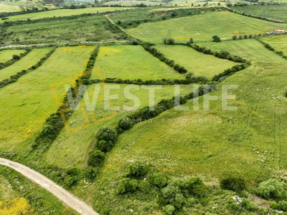 Terreno Agricola ou Rústico para Venda em Venda do Pinheiro e Santo Estêvão das Galés Foto 4