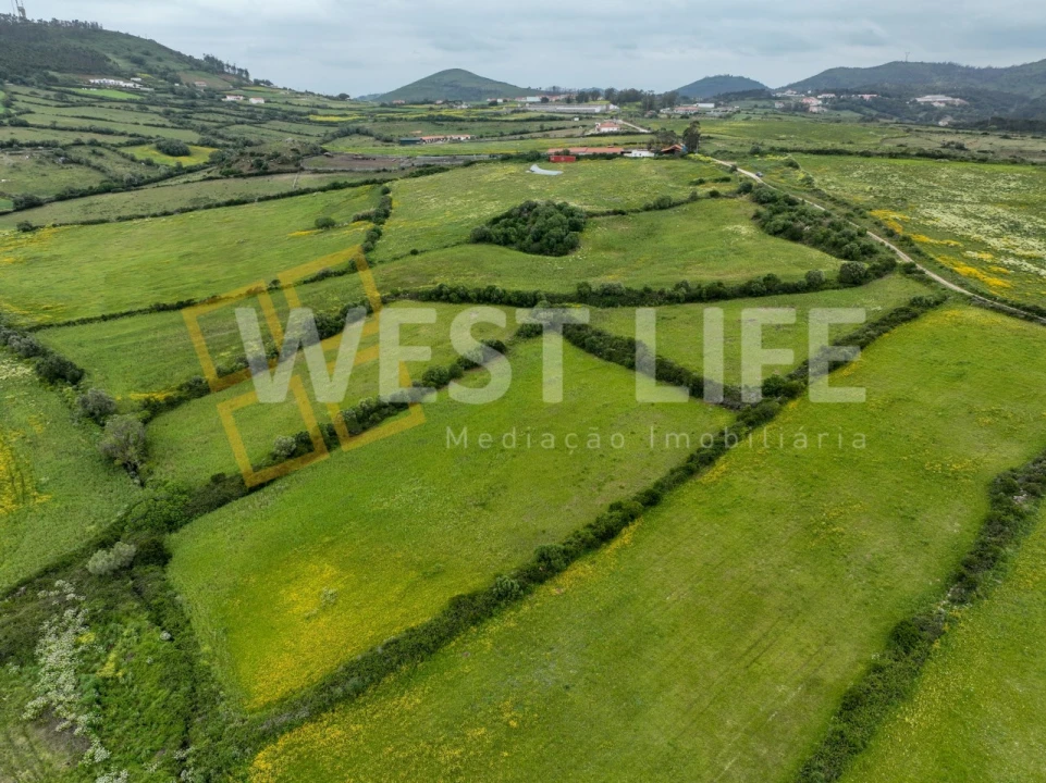 Terreno Agricola ou Rústico para Venda em Venda do Pinheiro e Santo Estêvão das Galés Foto 6