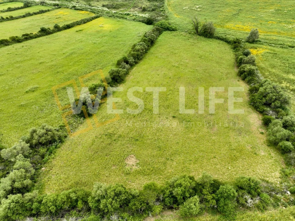 Terreno Agricola ou Rústico para Venda em Venda do Pinheiro e Santo Estêvão das Galés Foto 7