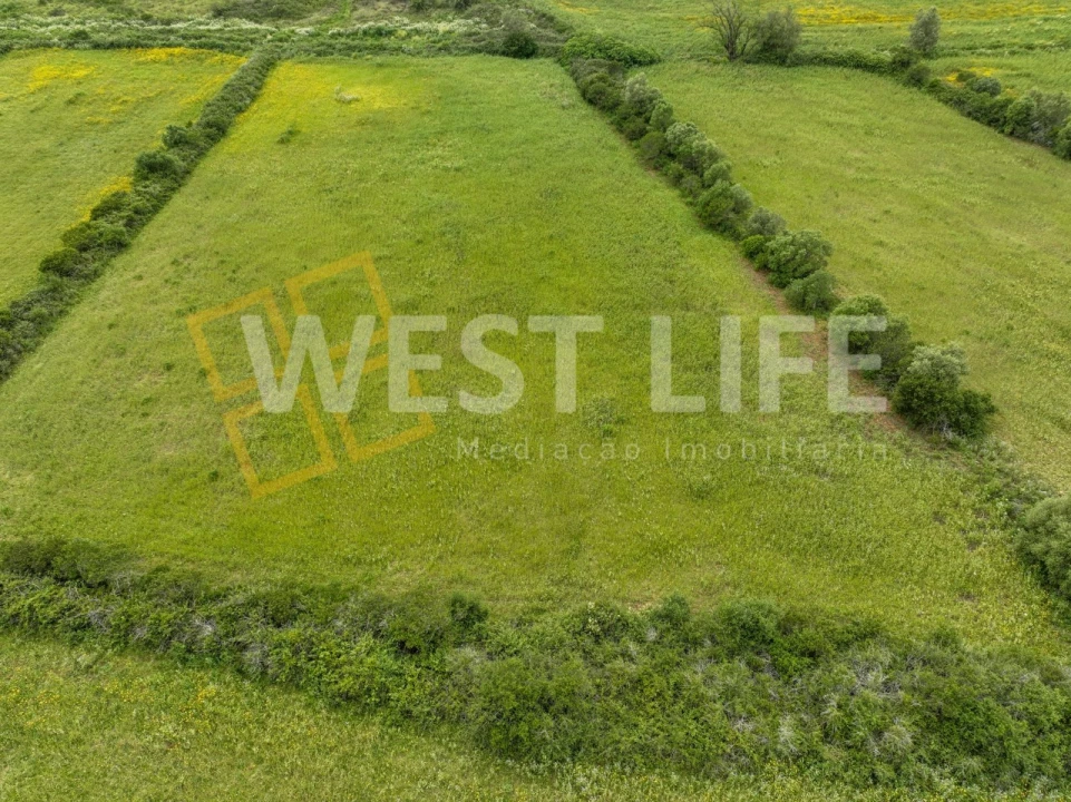 Terreno Agricola ou Rústico para Venda em Venda do Pinheiro e Santo Estêvão das Galés Foto 8