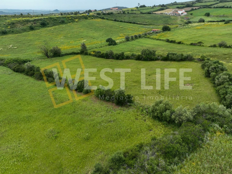 Terreno Agricola ou Rústico para Venda em Venda do Pinheiro e Santo Estêvão das Galés Foto 10