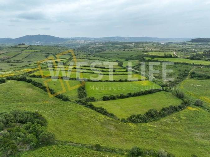 Terreno Agricola ou Rústico para Venda em Venda do Pinheiro e Santo Estêvão das Galés Foto 2