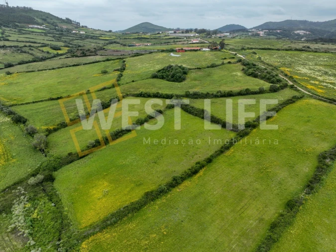 Terreno Agricola ou Rústico para Venda em Venda do Pinheiro e Santo Estêvão das Galés Foto 6