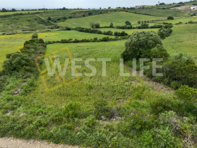 Terreno Agricola ou Rústico para Venda em Venda do Pinheiro e Santo Estêvão das Galés Foto 9