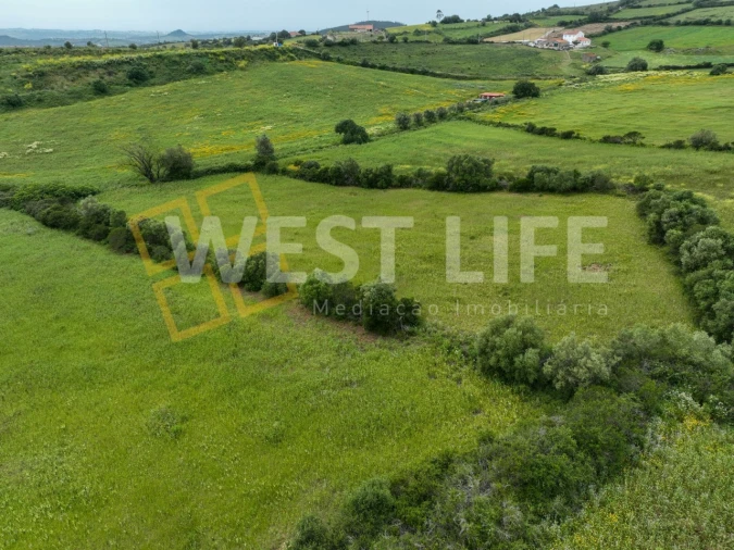 Terreno Agricola ou Rústico para Venda em Venda do Pinheiro e Santo Estêvão das Galés Foto 10