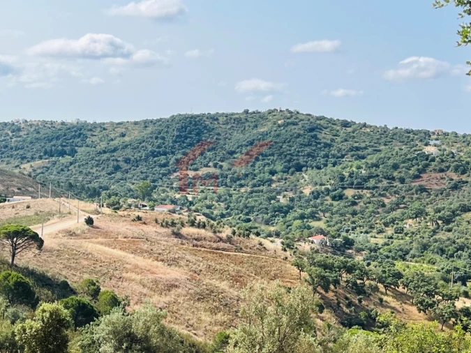 Terreno para Venda em São Brás de Alportel Foto 2