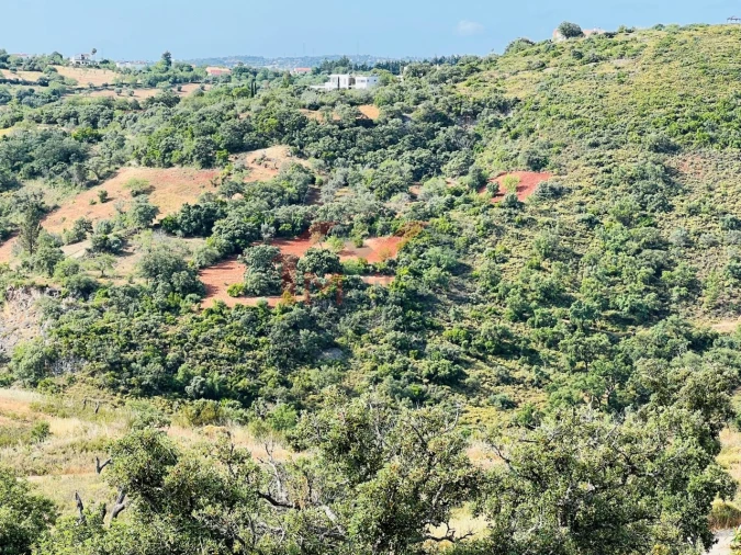 Terreno para Venda em São Brás de Alportel Foto 3