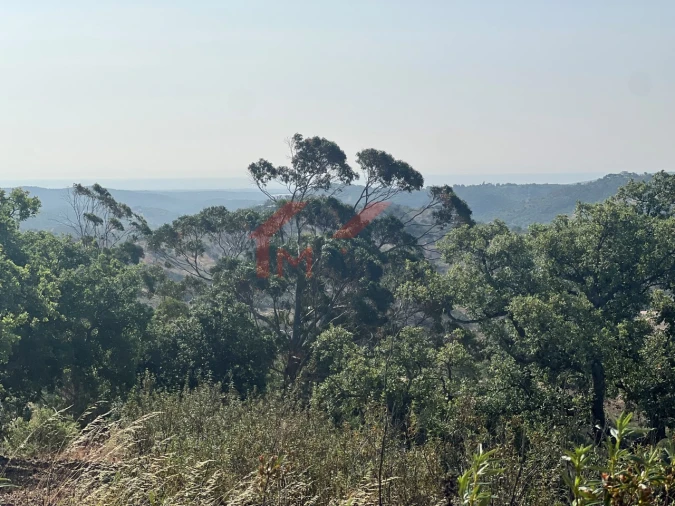 Terreno para Venda em São Brás de Alportel Foto 11