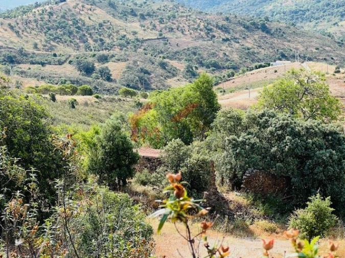 Terreno para Venda em São Brás de Alportel Foto 18