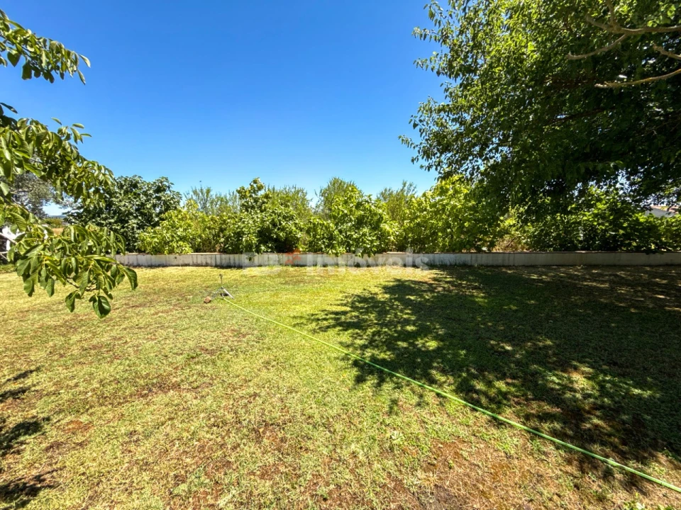 Quinta T6 para Venda em São Miguel do Rio Torto e Rossio Ao Sul do Tejo Foto 26