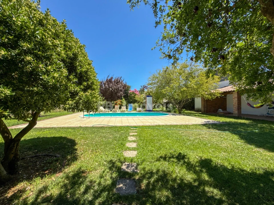 Quinta T6 para Venda em São Miguel do Rio Torto e Rossio Ao Sul do Tejo Foto 18