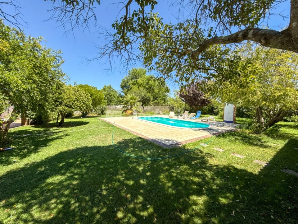 Quinta T6 para Venda em São Miguel do Rio Torto e Rossio Ao Sul do Tejo Foto 20