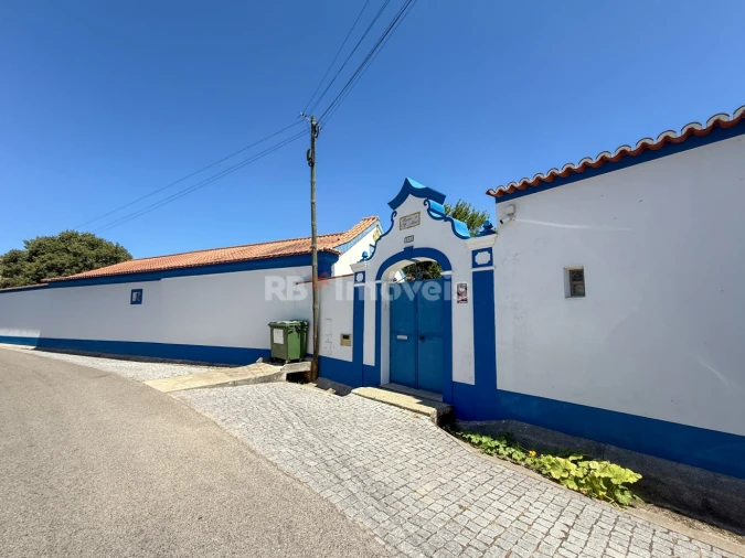 Quinta T6 para Venda em São Miguel do Rio Torto e Rossio Ao Sul do Tejo Foto 12
