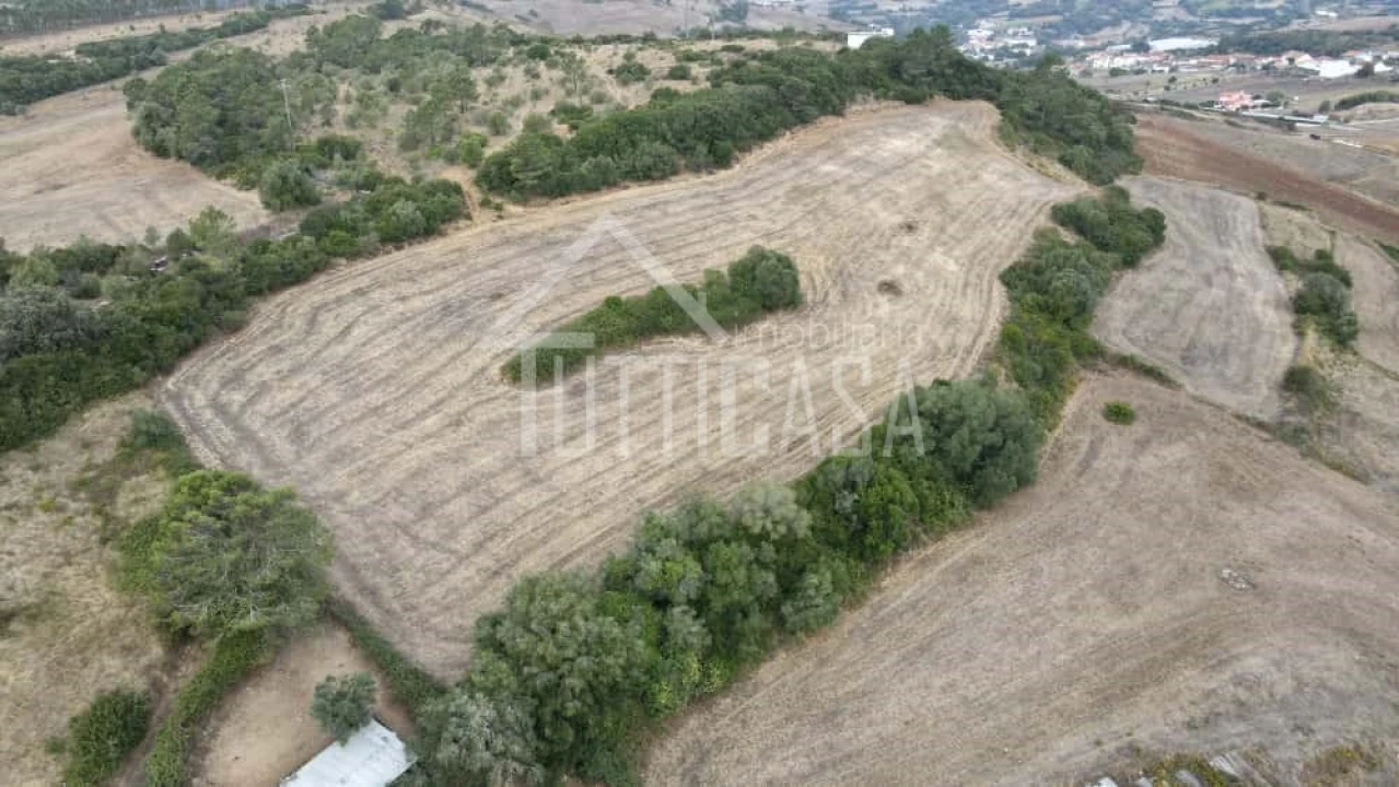 Terreno Agricola ou Rústico para Venda em Milharado Foto 4