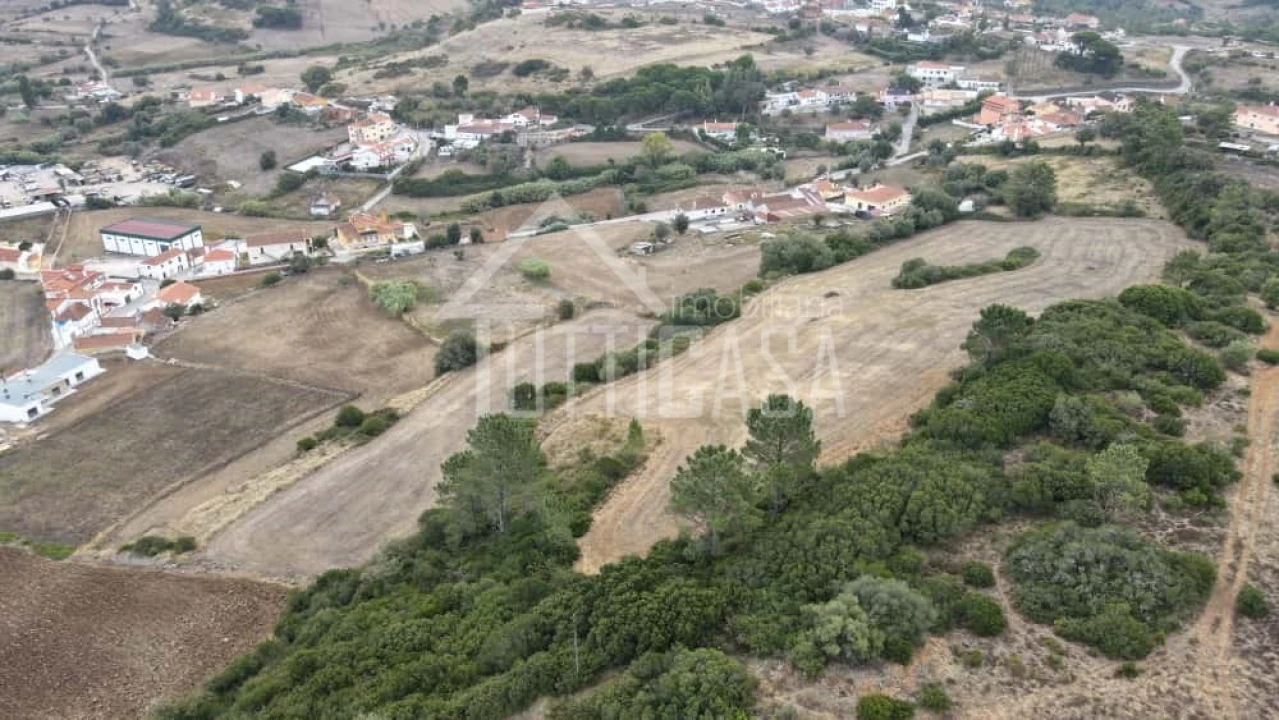 Terreno Agricola ou Rústico para Venda em Milharado Foto 11