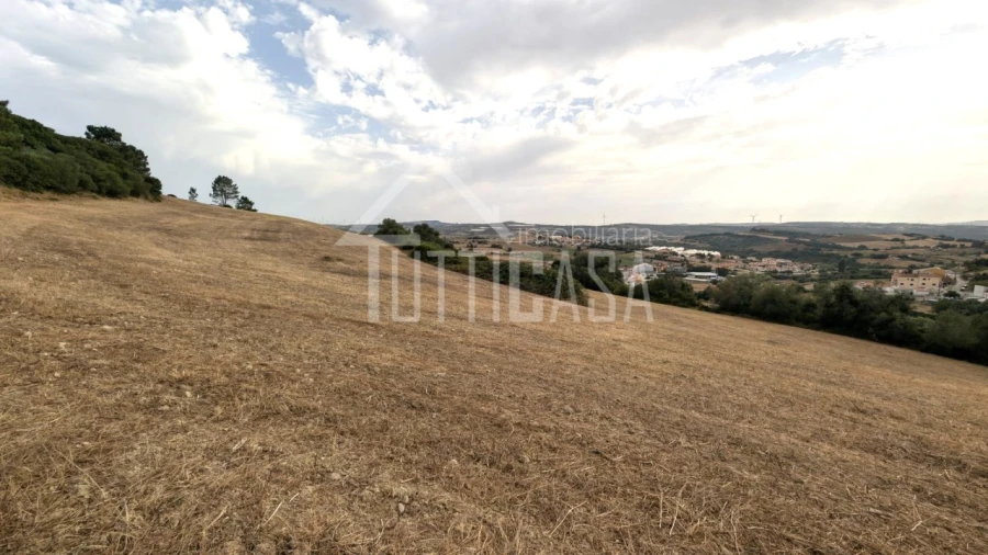 Terreno Agricola ou Rústico para Venda em Milharado Foto 7