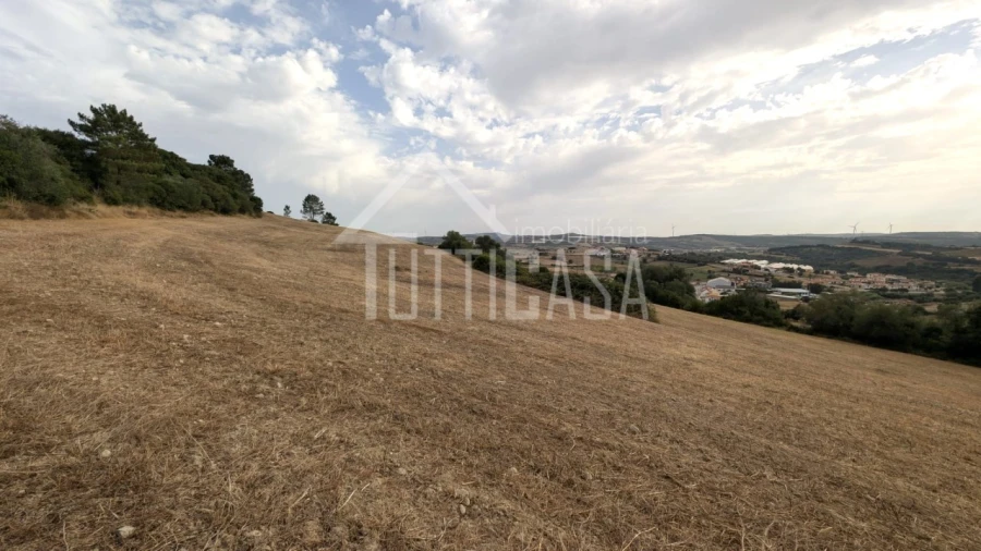 Terreno Agricola ou Rústico para Venda em Milharado Foto 9